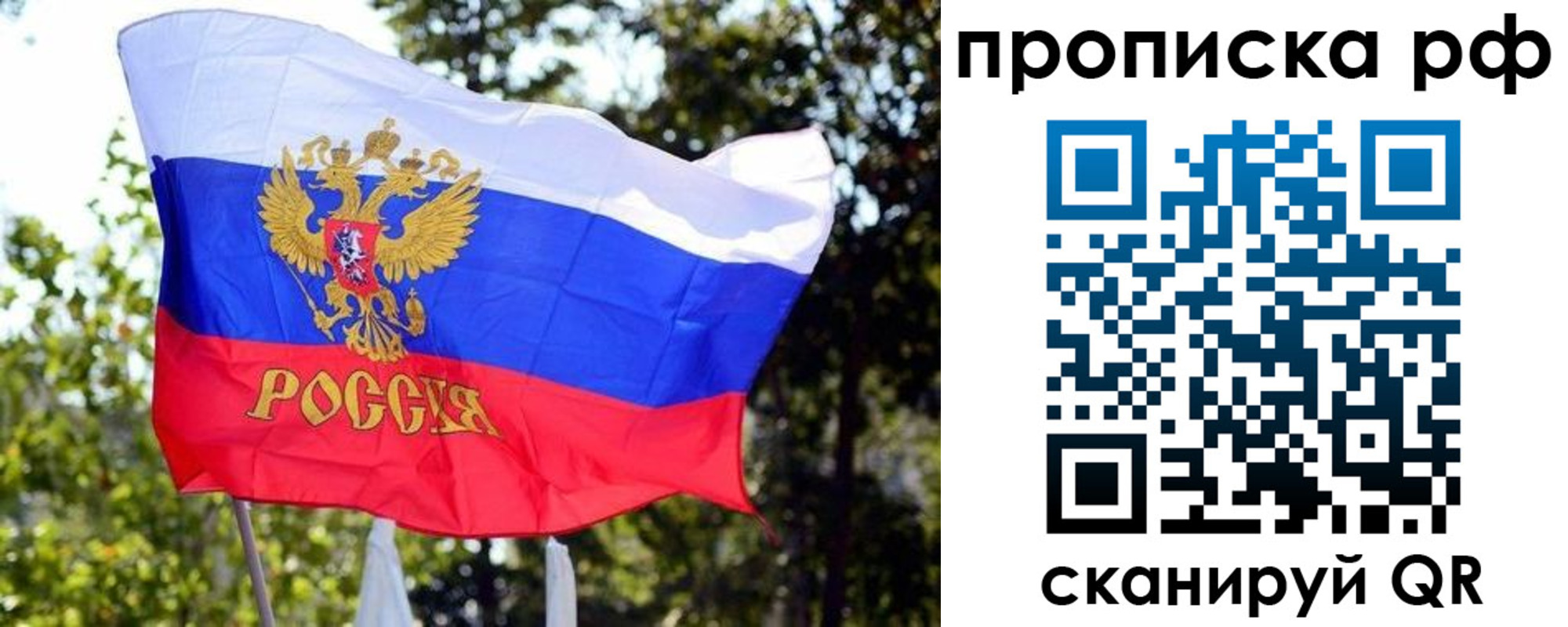 временная регистрация надежно в Липецке